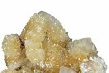 Sparkling Cactus Quartz Crystal Cluster - South Africa #303468-1